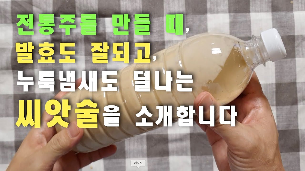 [삼양주 만들기]누룩을 직접 쓰는 단점을 보완하는 '씨앗술'을 만들어 삼양주를 더욱 안정적으로 만들어요