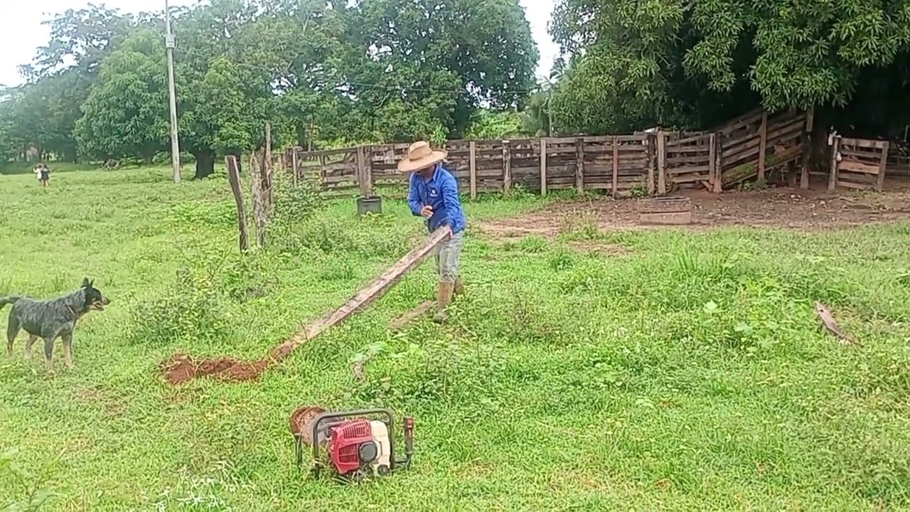 Hoje as vacas me deixaram na mão 😝