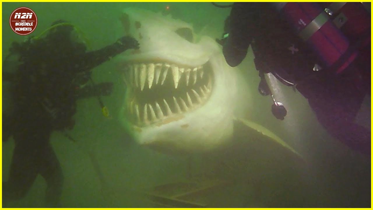 20 Incredible Moments At Sea - The Sea Can Be A SCARY Place!