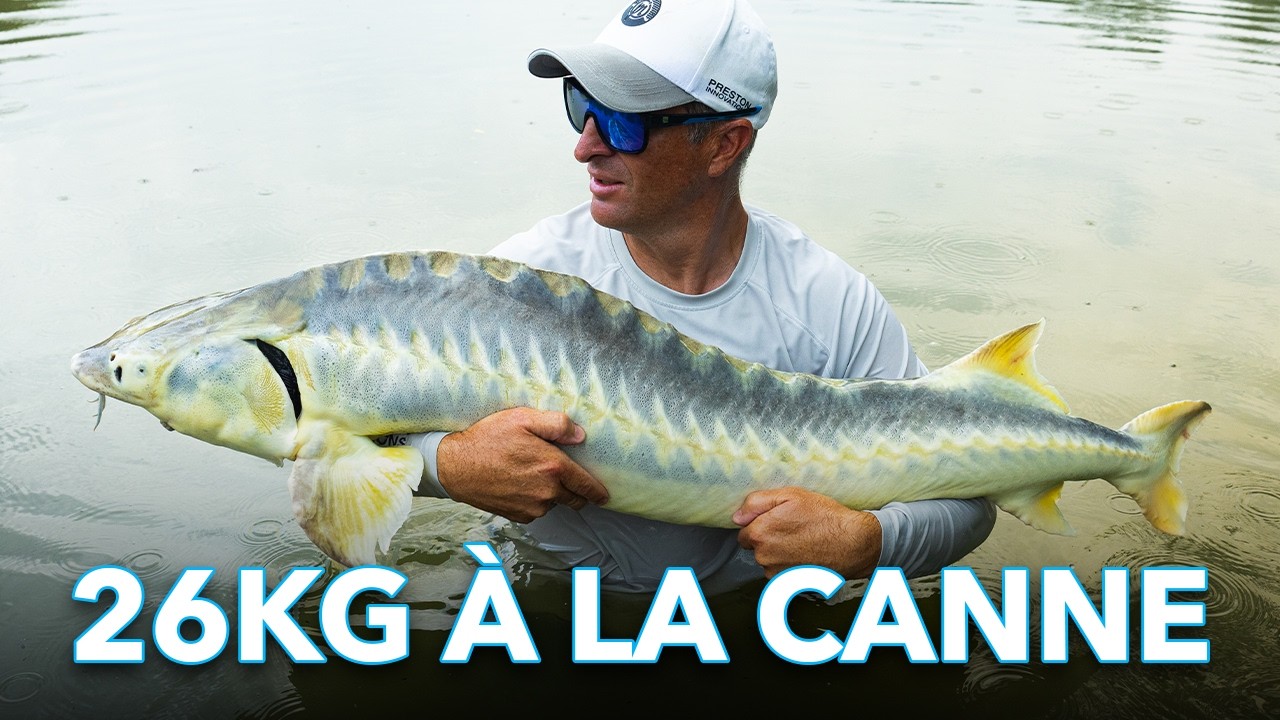 ESTURGEON À LA CANNE ! On fait plier la canne EDGE MONSTER