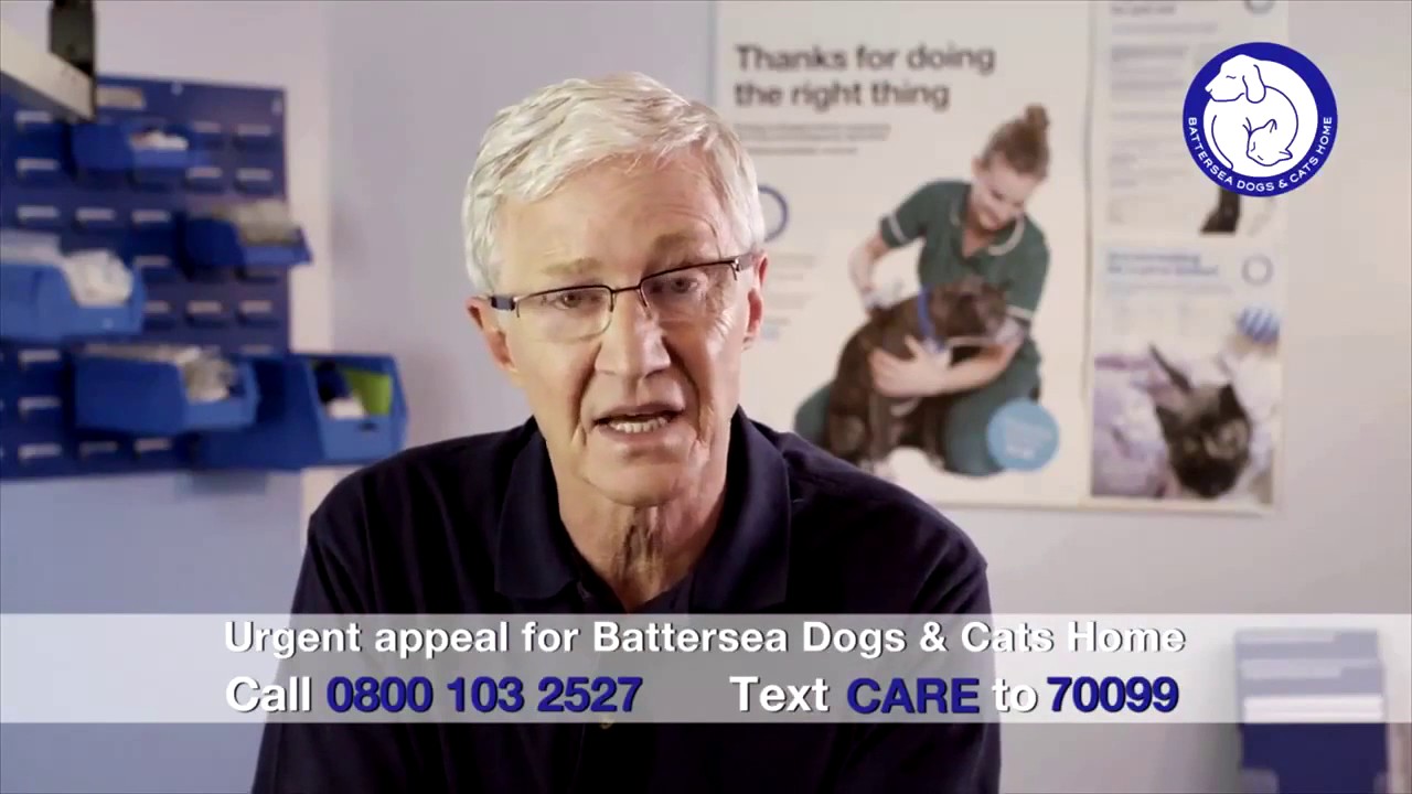 Paul O'Grady Battersea Dogs and Cats Home Advert Appeal 1
