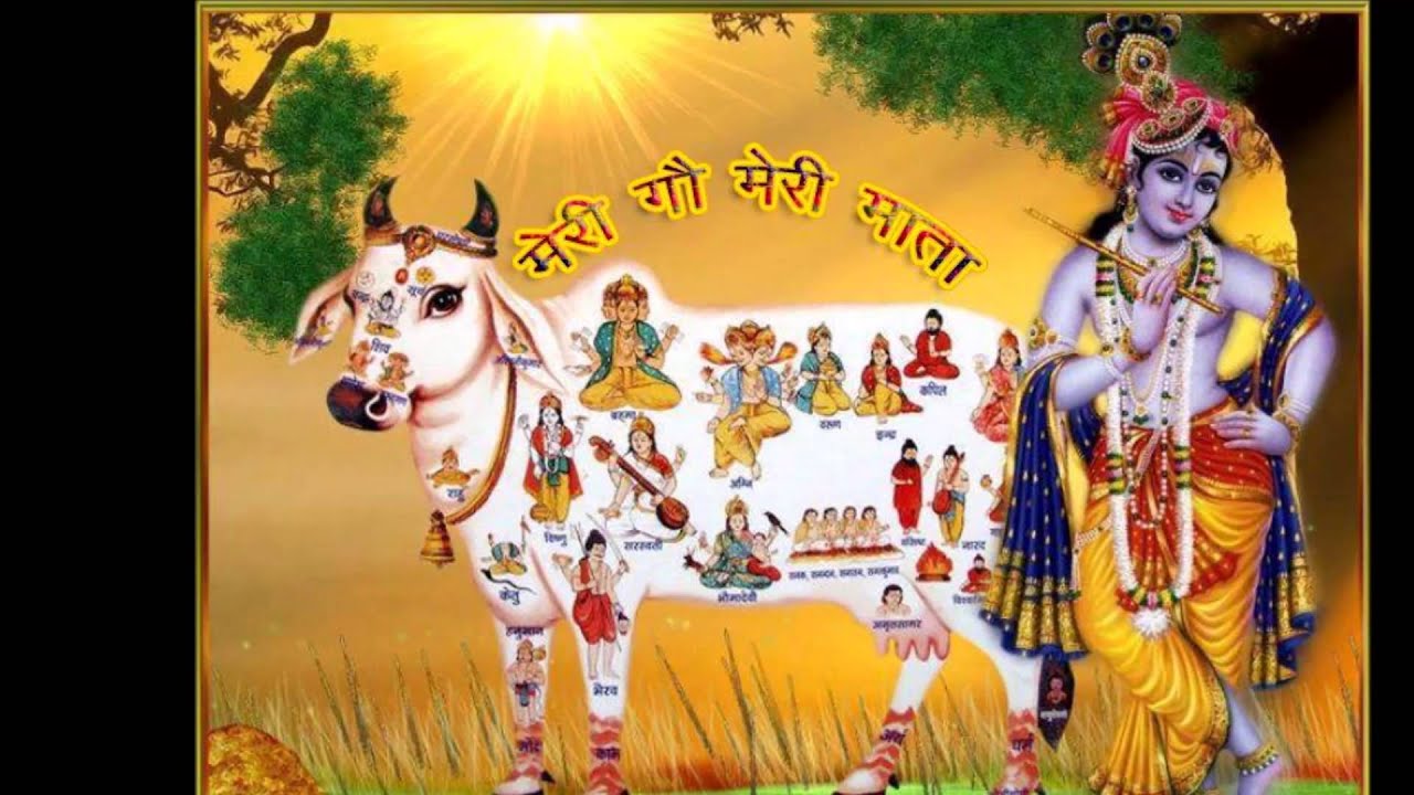 Chalo re man Gau Maiyya ke Dham by Gopal Mani Ji