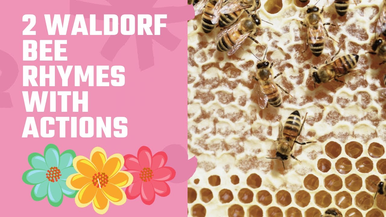 Waldorf bee rhymes with actions