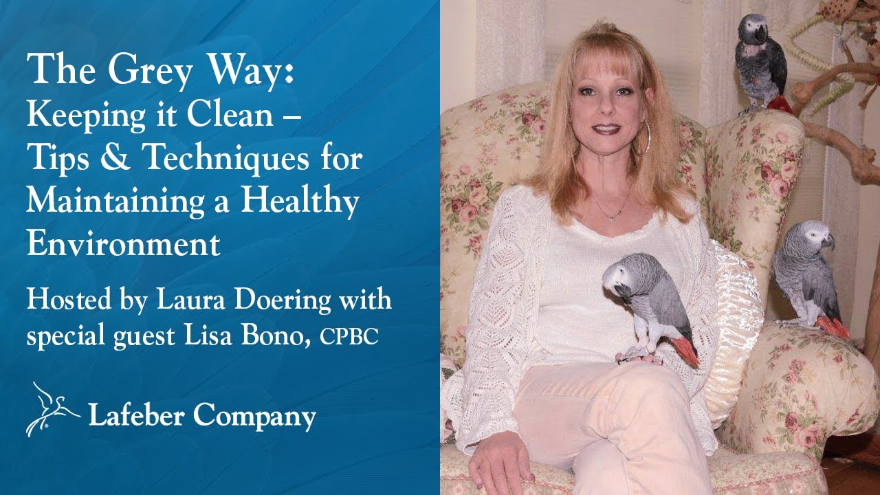 The Grey Way 5: Keeping it Clean–Tips & Techniques for Maintaining a Healthy Pet Bird Environment