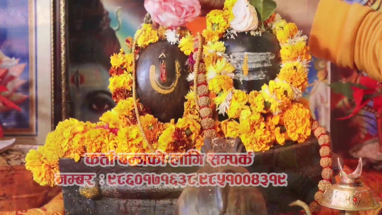 दैनिक रुद्री लड्केश्वर धाम || मात्र ओमकार टेलिभिजनबाट प्रत्यक्ष प्रशारण