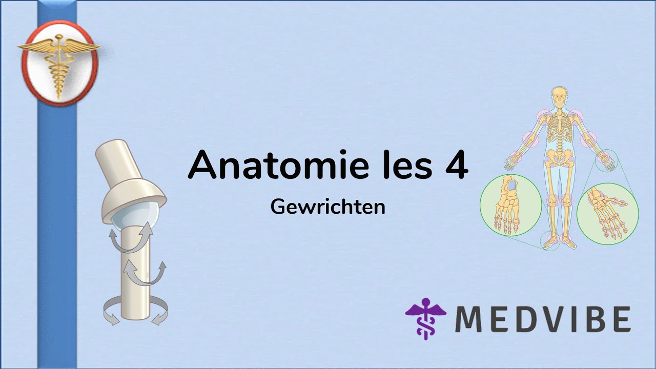 Anatomie les 4: Gewrichten