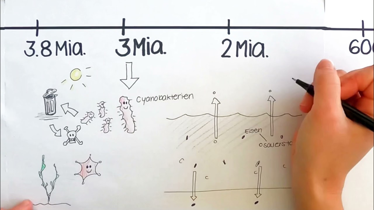 Die Entstehung der Atmosph&auml;re
