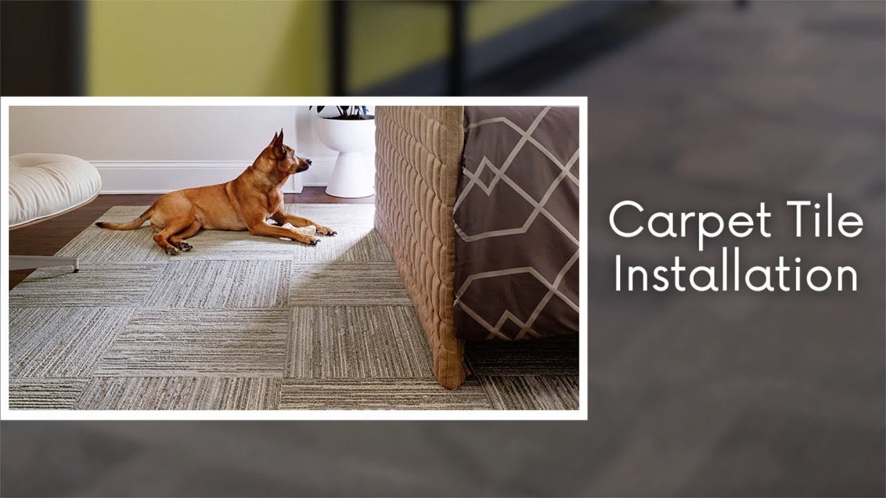 How To Install Carpet Tile Easy Step By Step Installation Guide