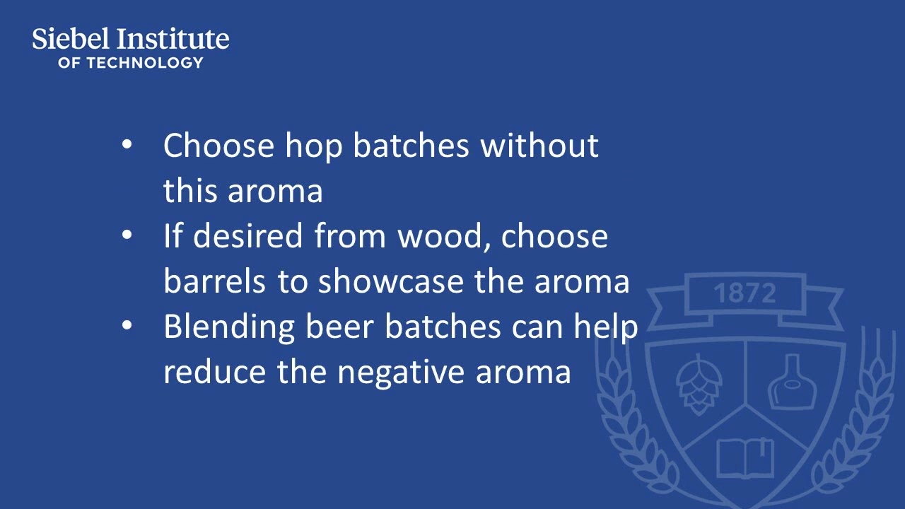 Tobacco - Beer sensory characteristics, causes and control factors