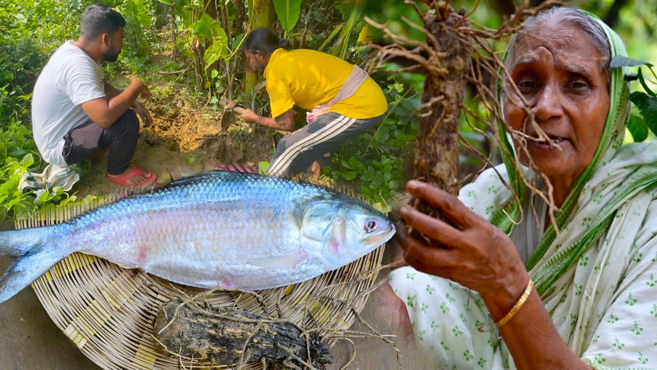 বাঁশআলু দিয়ে ইলিশ মাছের রান্না সঙ্গে কাঁচা ইলিশের ঝোল | Bengali famous Kham aloo recipe with hilsha
