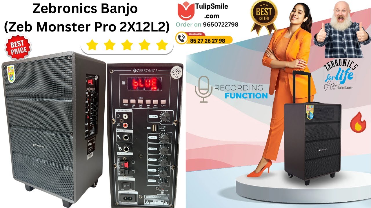 Zebronics Banjo Zeb Monster Pro 2X12L2 Best budget party speaker #trolleyspeaker #Djspeaker #speaker