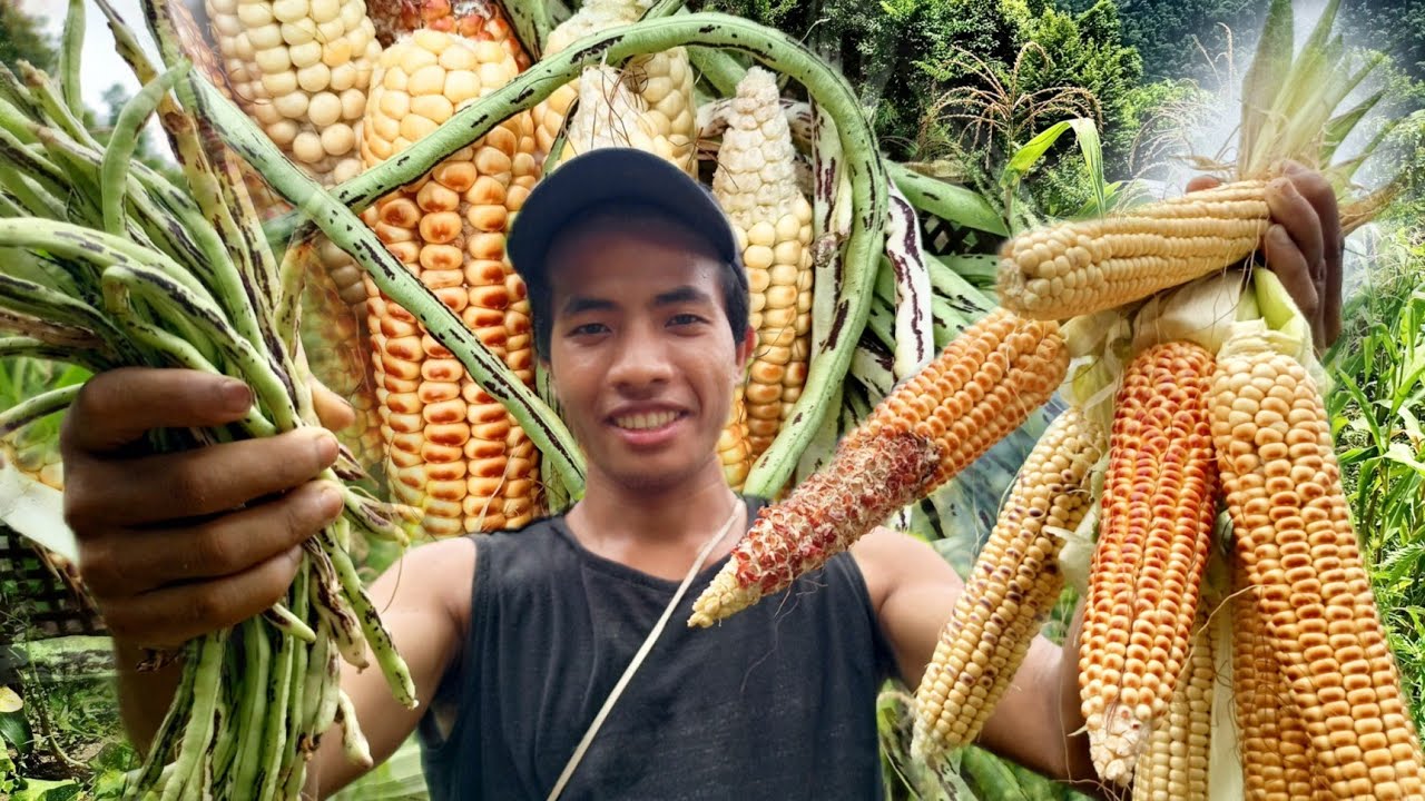 Freshly plucked organic vegetables from my garden | Village Life !!!