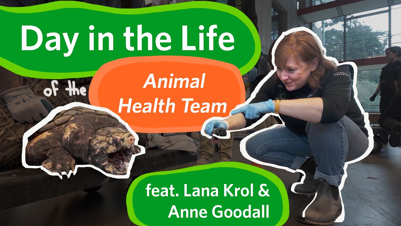 Day in the Life of our Animal Health Team | California Academy of Sciences