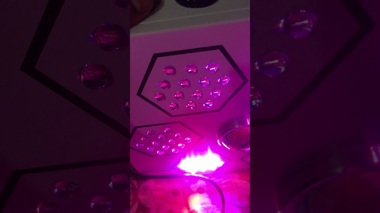 BloomBeast A520 indoor COB LED Grow Light Full Spectrum  .  Panel led de cultivo interior Bloombeast