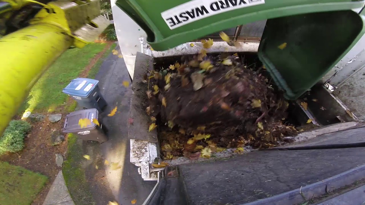 Fall Yard Waste Collection