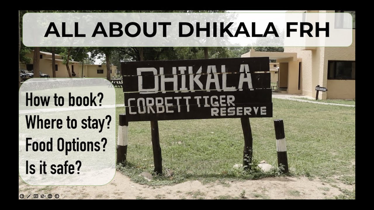 All about Corbett Dhikala FRH | How to book? | Where to stay? | Is it safe? | Food Options?