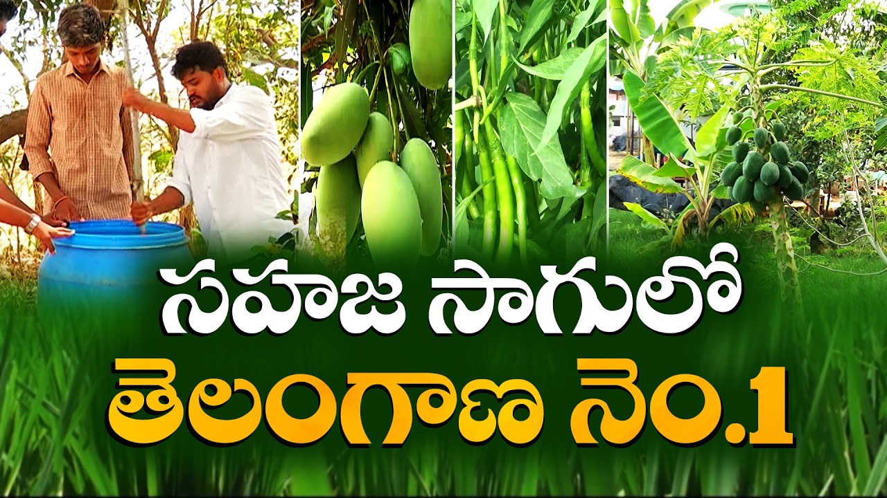 Organic Farming Demand Rising | Telangana Leading Natural Agriculture in India || Idi Sangathi