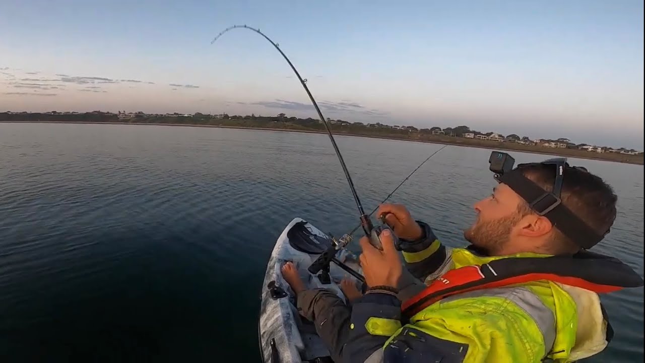Port Phillip Bay Pinkies Galore From The Kayak