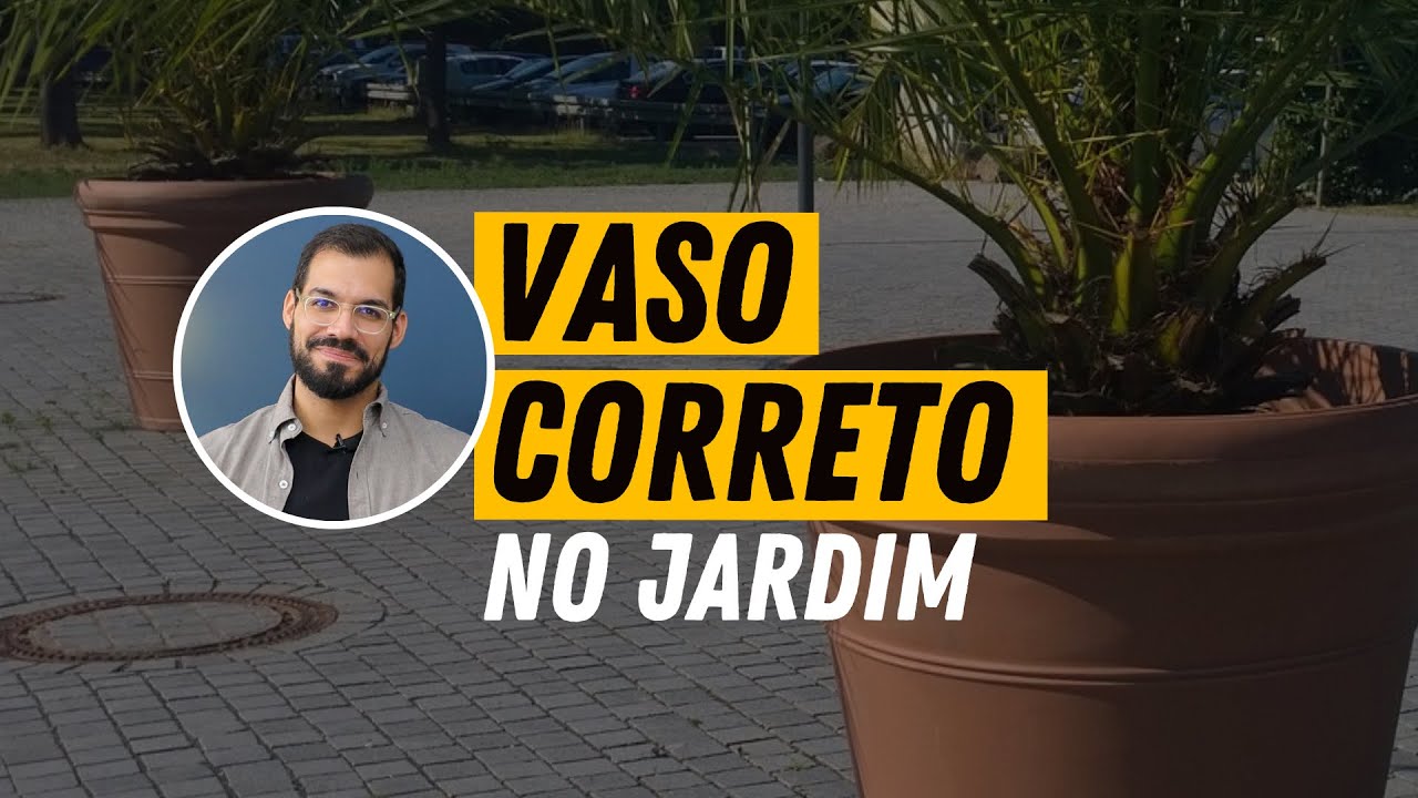 Como escolher o vaso correto