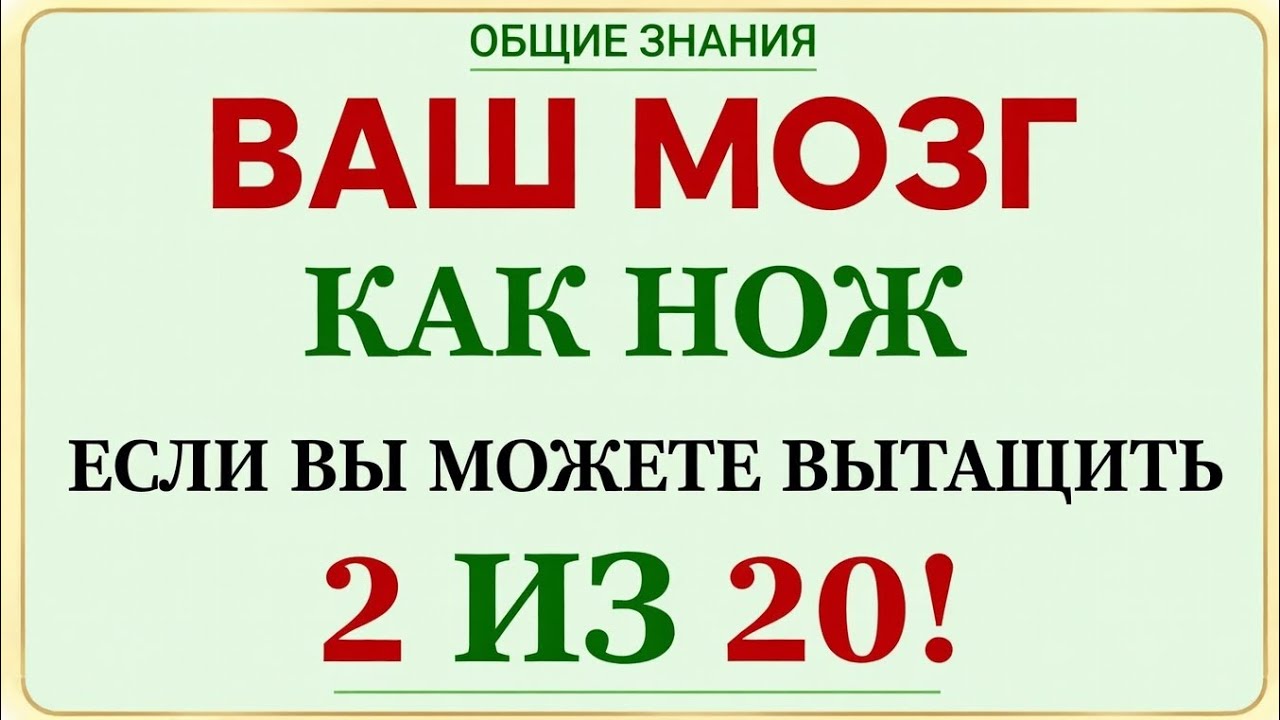 ВАШ МОЗГ КАК НОЖ! Если вытянешь 2 из 20 — ты гений! ОБЩИЕ ЗНАНИЯ