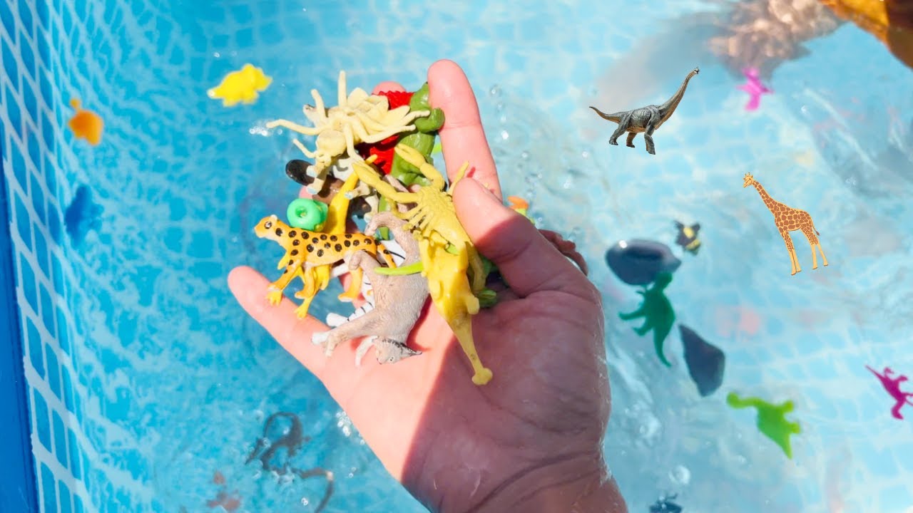 Jeremy Miniature Toys In Pool! Dinosaurs and Animal Toys