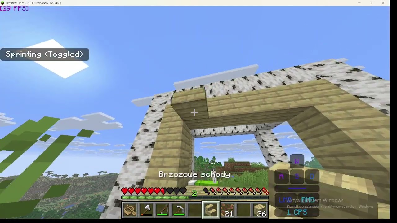 Minecraft odc. 5