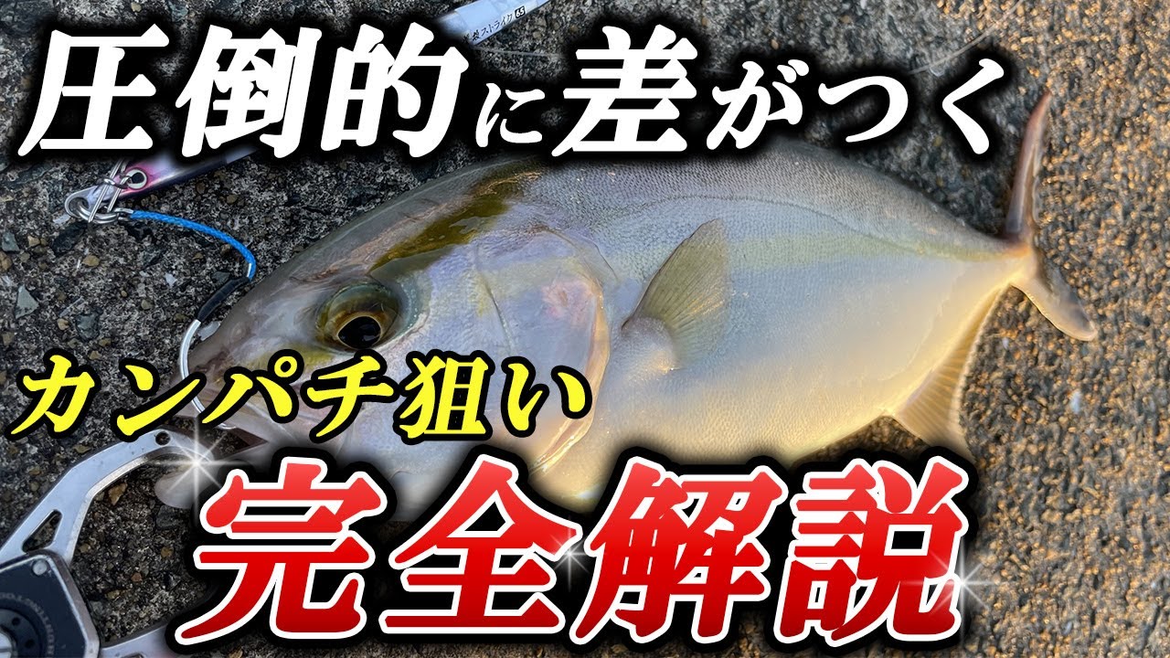 【どこよりも詳しく】カンパチをショアジギング(ルアー)で釣るための基本・釣り方のコツ・おすすめルアー完全解説