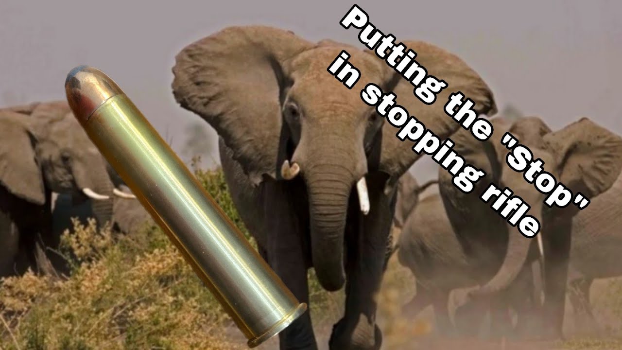 .700 Нитро Экспресс