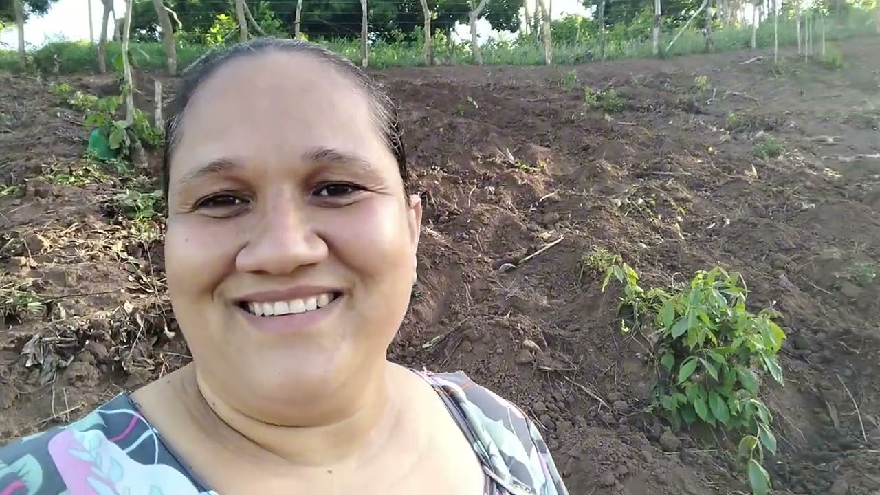 Dia maravilhoso de sol,e muito trabalho na roça ☀️🌱🌱