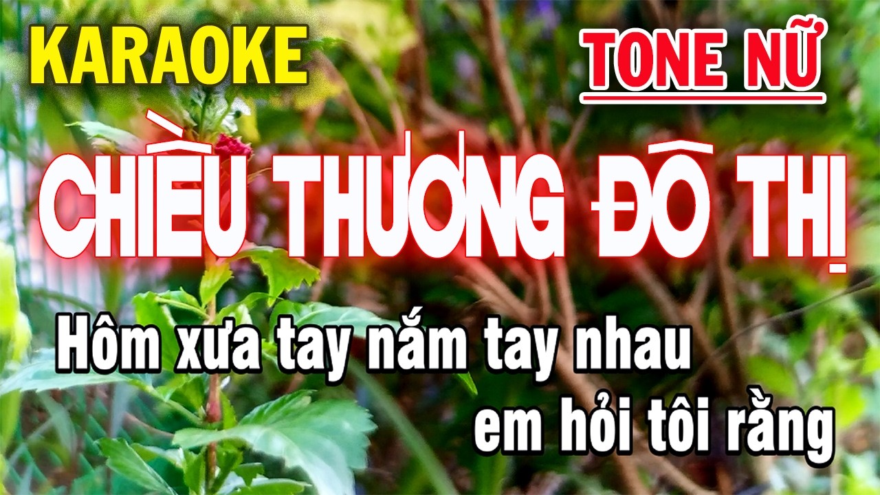 Karaoke Gõ Bo - Chiều Thương Đô Thị - Tone Nữ