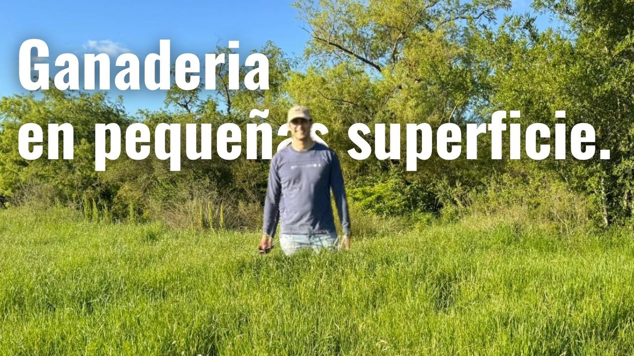 Como emprender en GANADERIA🐂 en  poco terreno, MENOS de 3 Hectáreas. 🤠