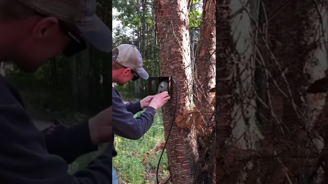Setting Up A Remote Trail Camera!