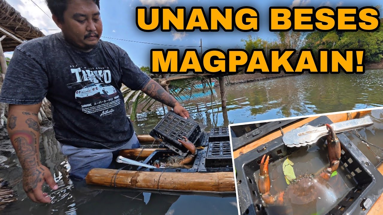 UPDATE SA MGA ALAGANG ALIMANGO! KUMAKAIN NA SILA! 😍