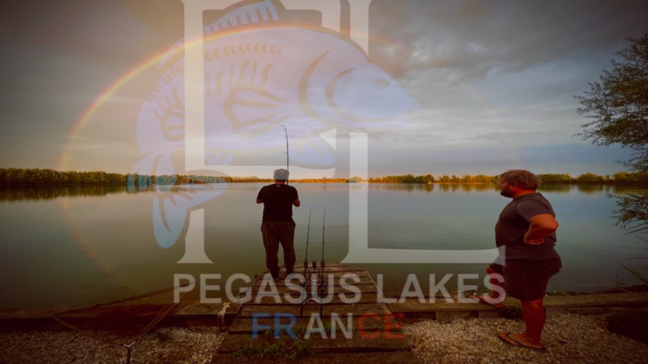 BEST NEW CARP FISHERY IN FRANCE?    PEGASUS LAKES  is the place to be!