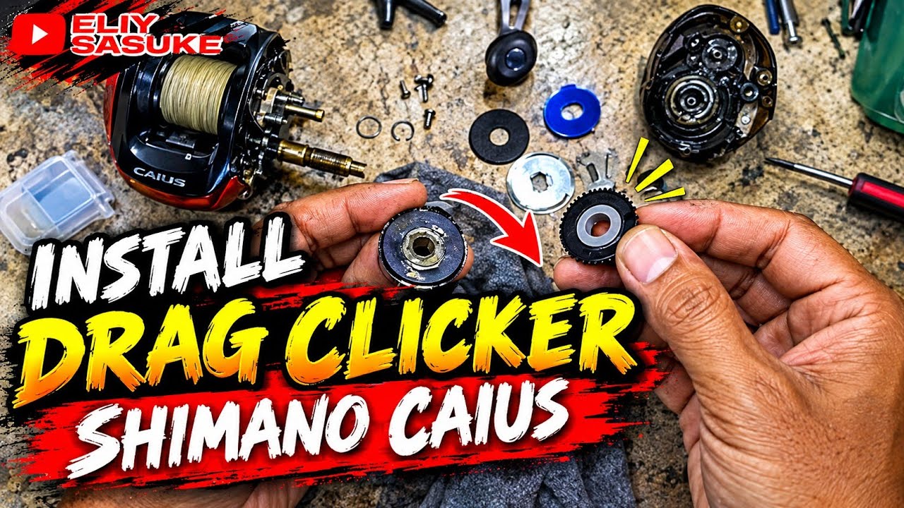 Pasang drag clicker reel bc Shimano Caius