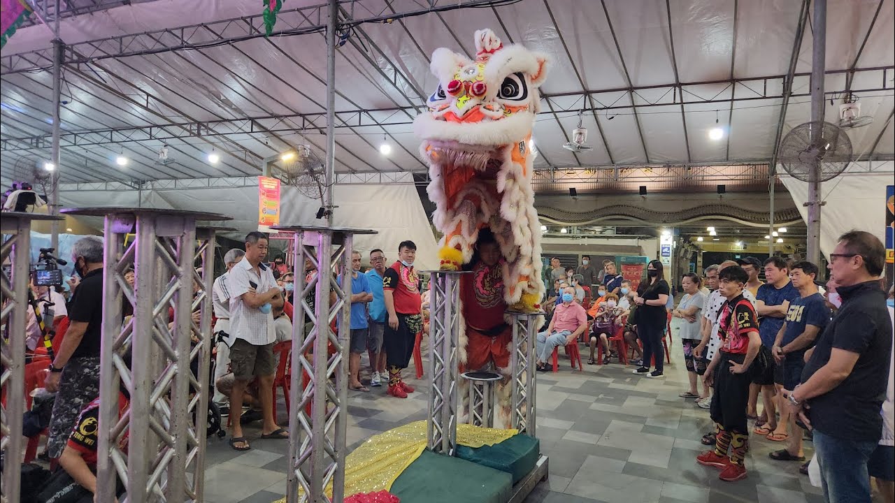 新加坡腾威體育會 Singapore Teng Wei Lion Leaping on High Poles Performances at AMK 顺宫殿 on 05/12/22