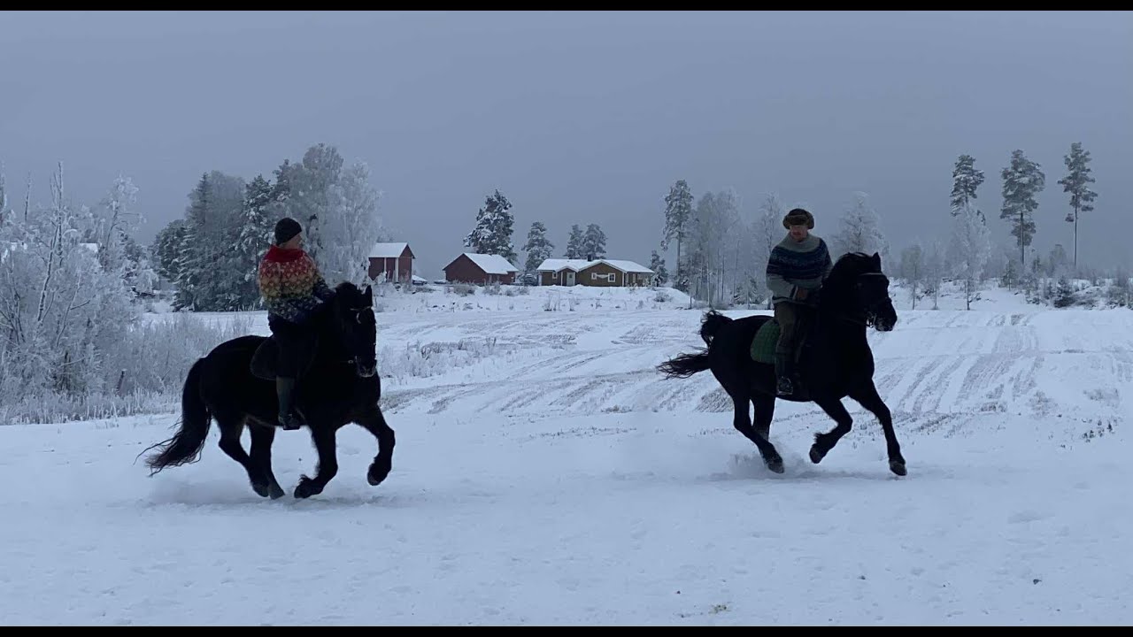 Tjue &aring;r med vintertrening p&aring; Trollspeilet 