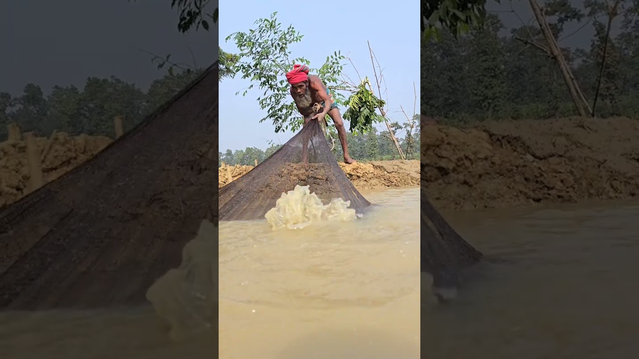 Everyone Big Fish Fishing video today 