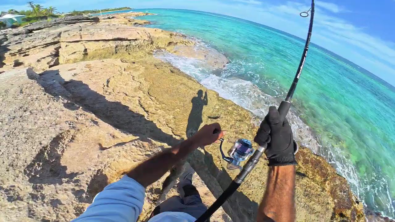 🔥 Fishing Alone - Catch & Cook (Fish Tacos)