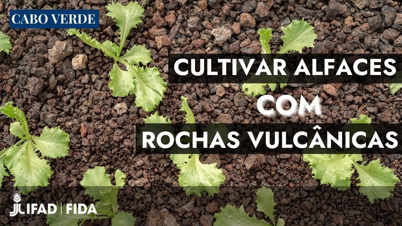 Cabo Verde: quando a escassez de água impulsiona a inovação