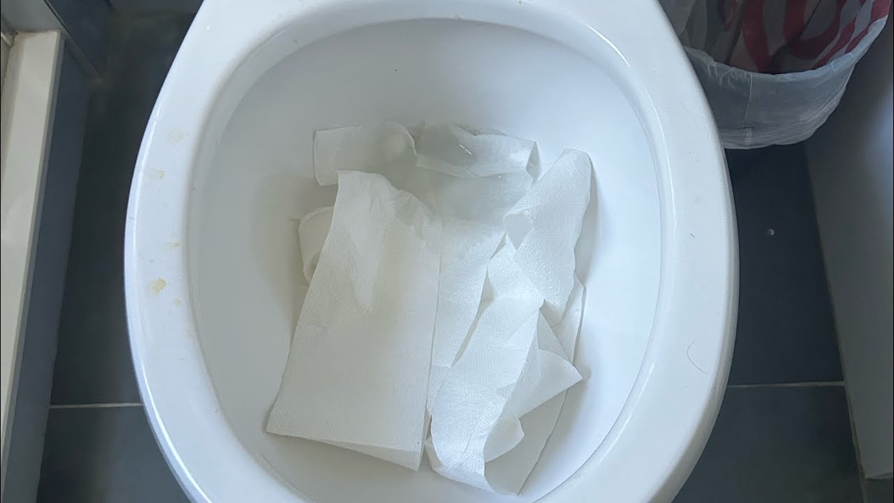 Toilet tp test compilation!