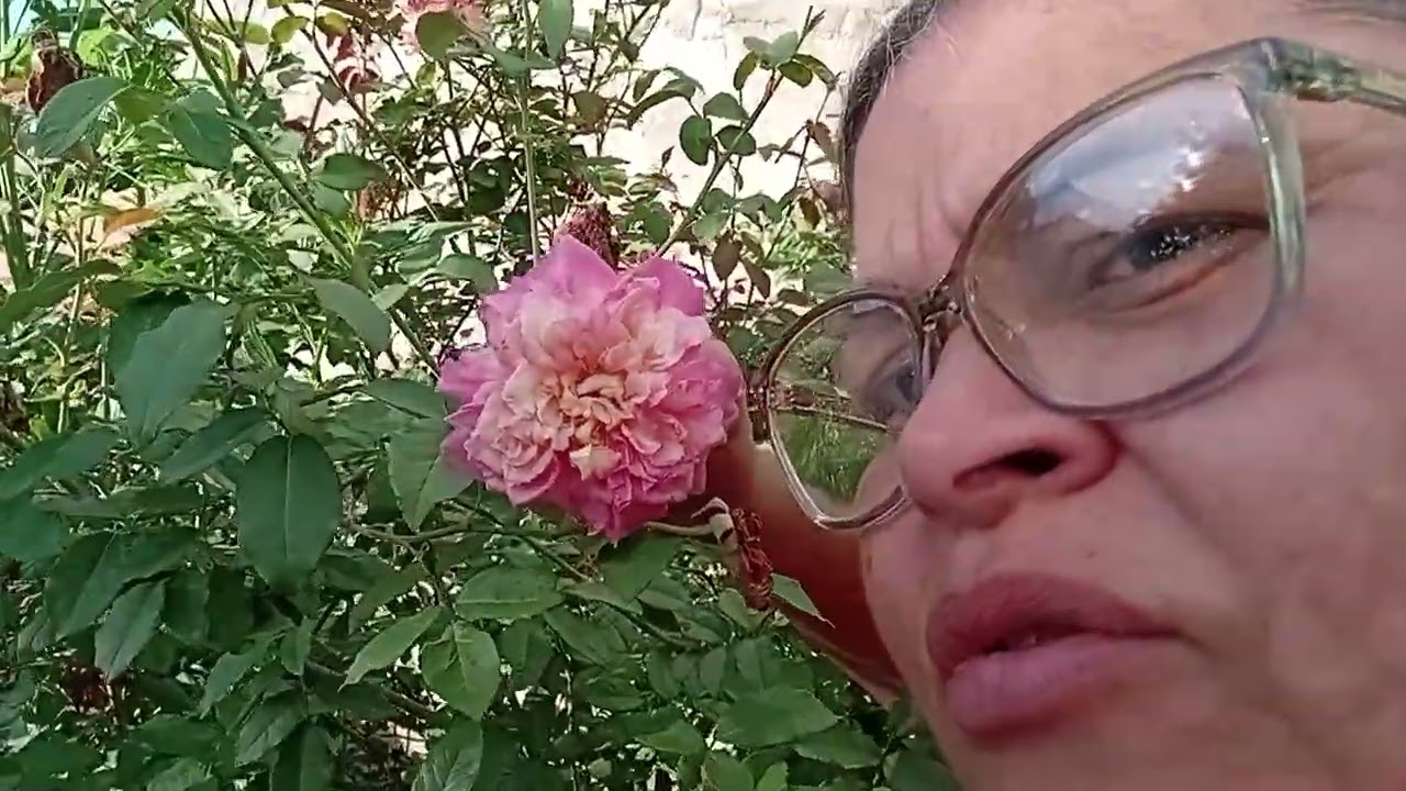 COMPARTILHANDO MEU HUMILDE E PEQUENO JARDIM.❤️❤️❤️