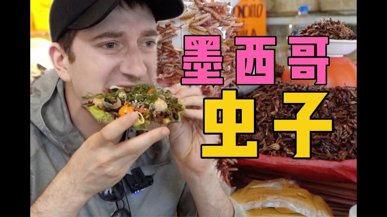 实拍墨西哥虫子高级吃法！大蚂蚁竟要700元一斤？