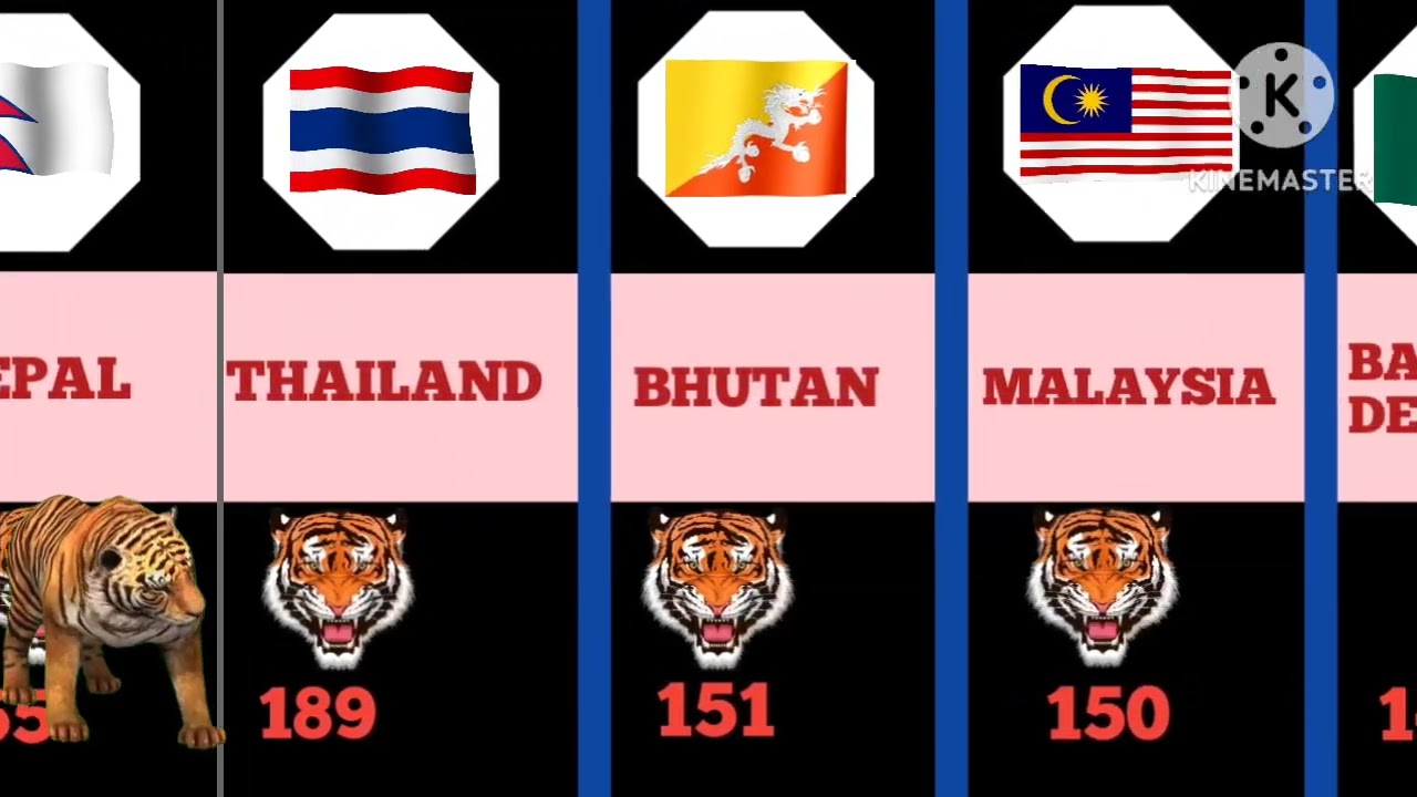 Tiger population country's 2024