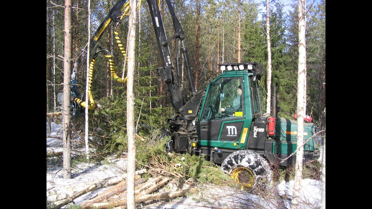 Metsolan Metsäkoulu 41, Pohdintaa ensiharvennuksesta