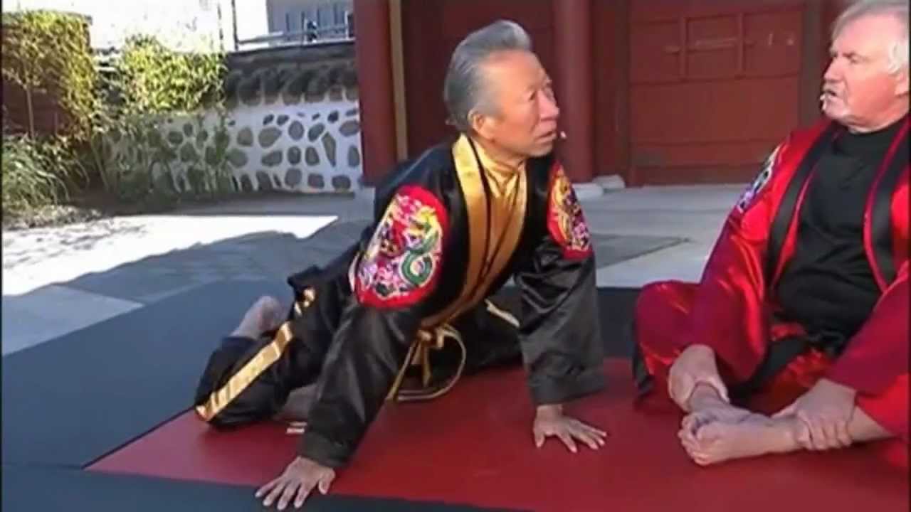 Grand Master Soon Ho Lee "Round Kick"