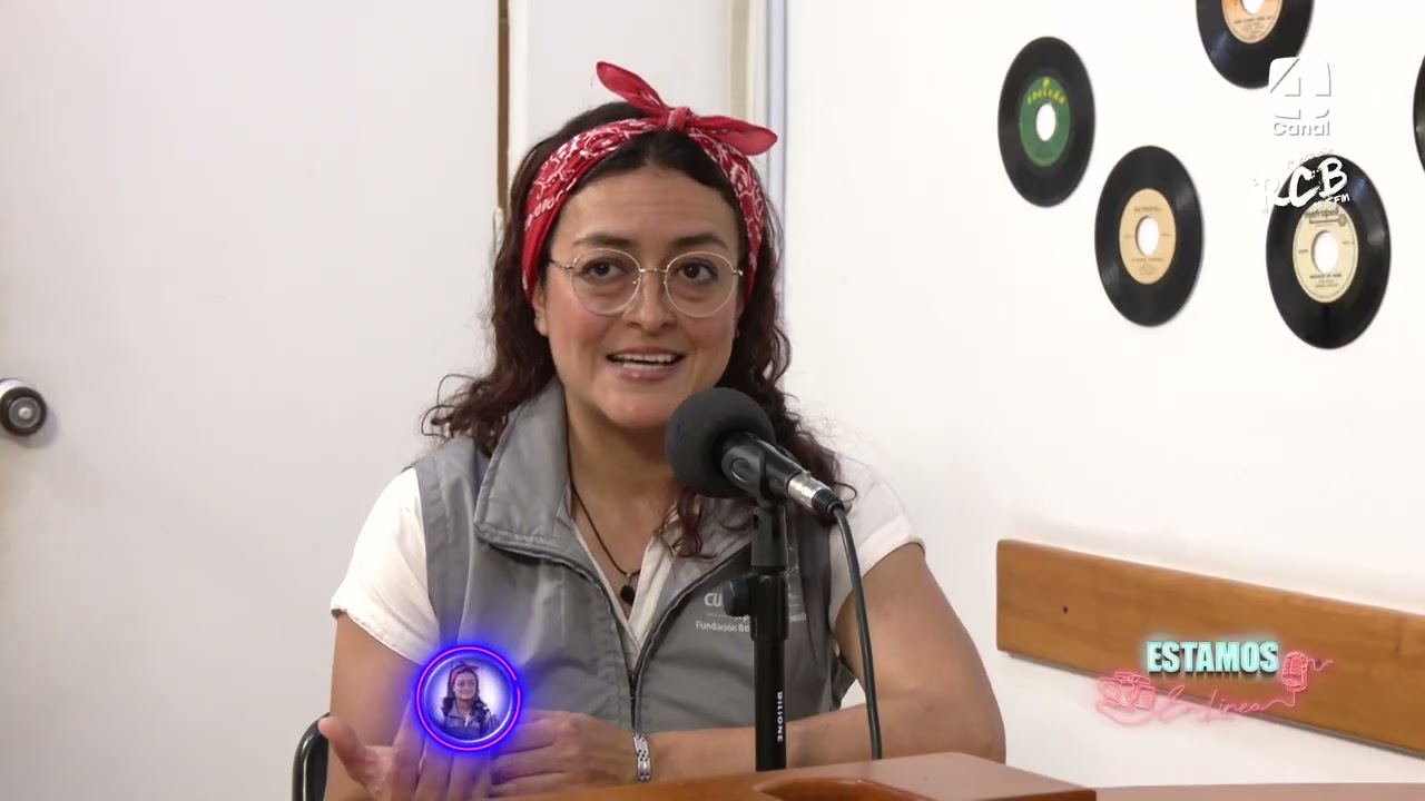 ESTAMOS EN LINEA - CLAUDIA GIL TABARES :HÁBITOS SALUDABLES PARA EL USO DE PANTALLAS