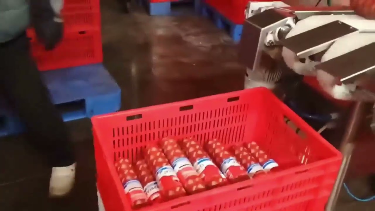 Sausage Labeling Machine &mdash; Automatic Labeling Solution for Meat Processing Plants (USA & Canada)