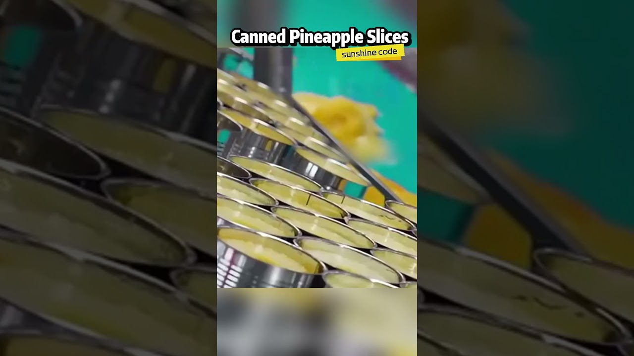 How Canned Pineapple is Made From Fresh Fruit to Perfectly Sealed Cans