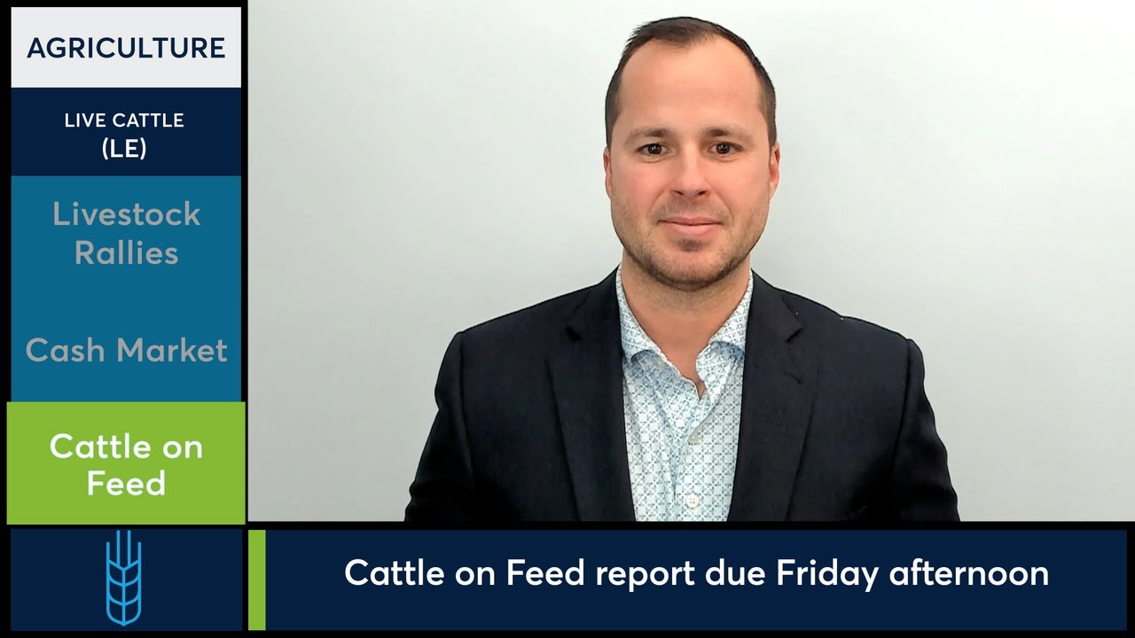 Cattle and Lean Hog futures rally sharply on Tuesday. 3/17/26